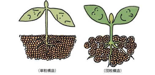 沸石如何應(yīng)用于土壤改良領(lǐng)域？