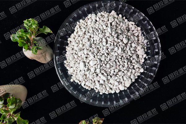 沸石在石油化工中的應(yīng)用-國投盛世