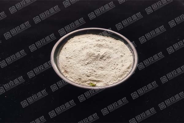 國投盛世的沸石牙膏是什么？