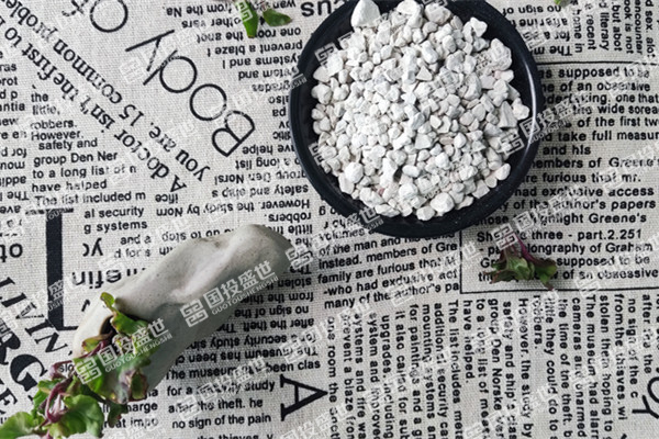 沸石在多肉植物養(yǎng)護(hù)中的作用及方法