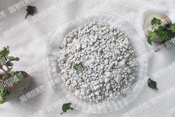 沸石為何能吸附控制垃圾填埋場的甲烷？
