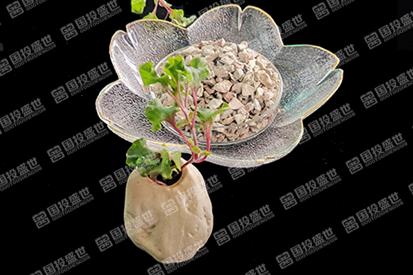 沸石在水產(chǎn)養(yǎng)殖業(yè)中的革新應用及其環(huán)保效益探討