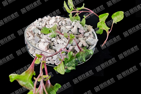 天然沸石于夏季應(yīng)用價(jià)值-國投盛世