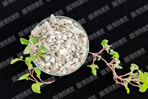 沸石在蘋果樹種植中有哪些優(yōu)勢？-國投盛世
