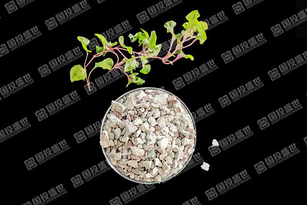 沸石能否成為草莓種植的好幫手？