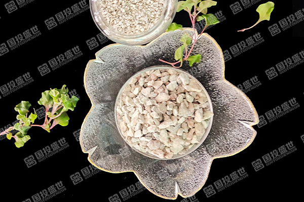 沸石能否提升蔬菜種植效果？
