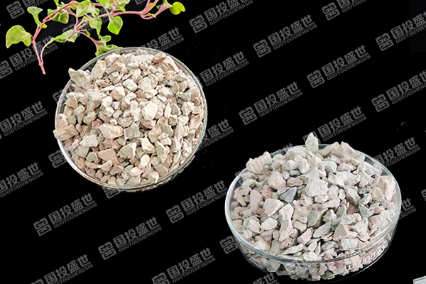天然沸石如何助力番茄種植邁向綠色高效？-國投盛世
