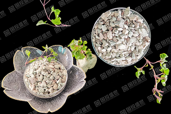 沸石在牡蠣養(yǎng)殖中有何益處？