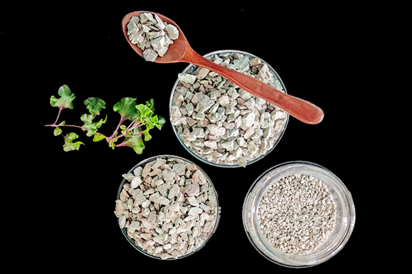 油菜種植時可以使用沸石嗎？