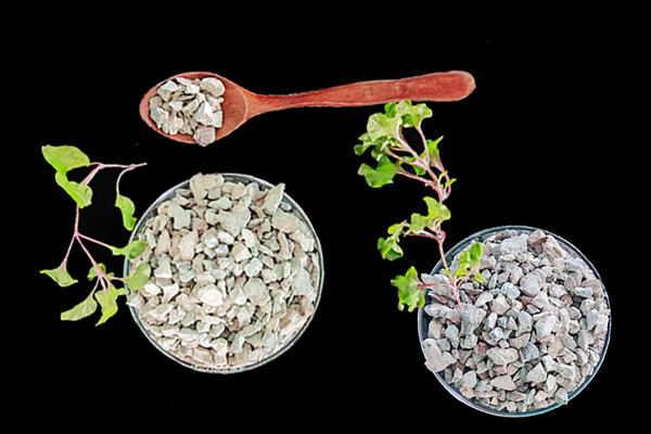 天然沸石對(duì)養(yǎng)貓家庭有哪些好處？-國(guó)投盛世