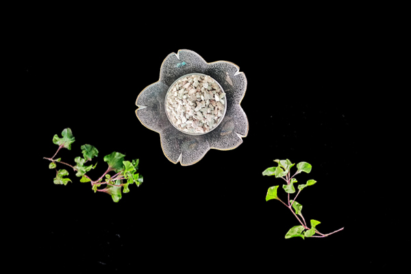 天然沸石對油菜種植有什么影響？
