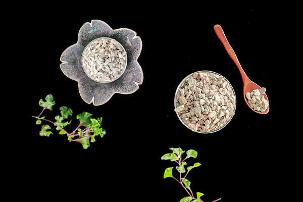 天然沸石對(duì)土豆種植有何影響？