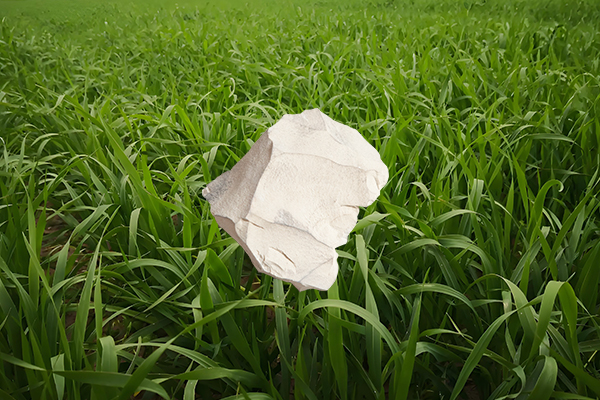 用天然沸石給燕麥種植是否能顯著提高產(chǎn)量？