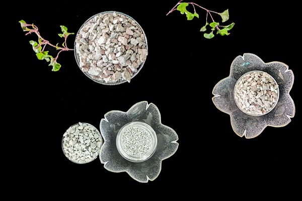 沸石能為芥菜增產(chǎn)提供幫助嗎？