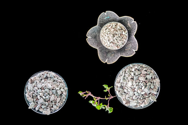 萵苣種植時添加沸石能提升產(chǎn)量嗎？