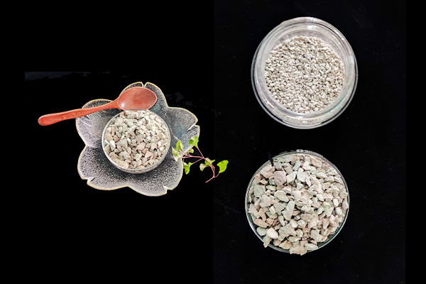 種植四季豆時(shí)加入沸石能提高產(chǎn)量嗎？