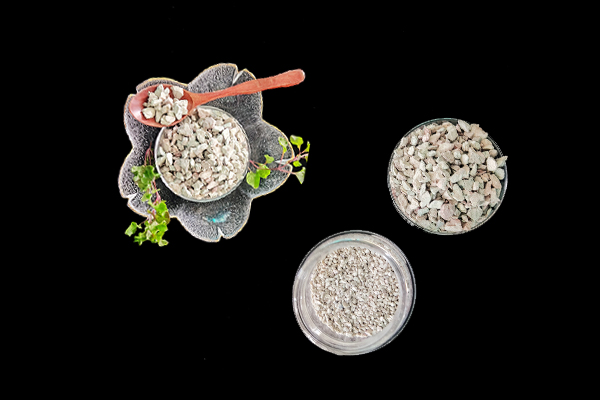 什么時候添加沸石有助于黑麥種植呢？