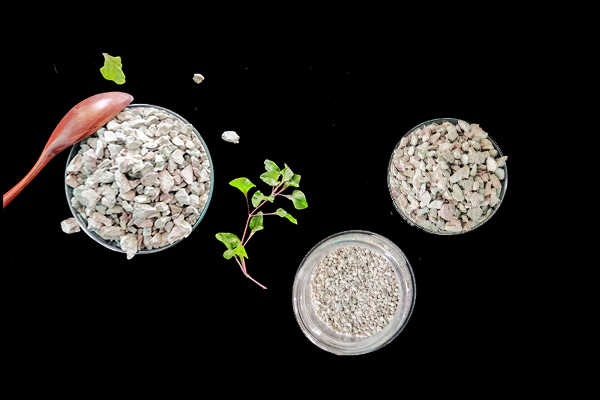 何時添加沸石于大麥種植最有效？