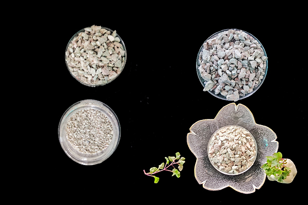 菠菜種植階段能使用沸石嗎？