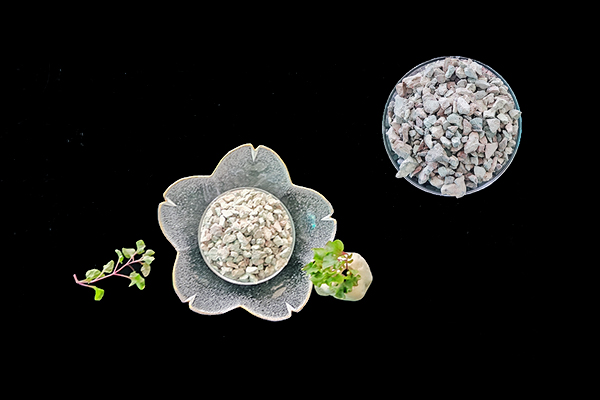 種植生菜時(shí)使用天然沸石能增產(chǎn)嗎？-國(guó)投盛世
